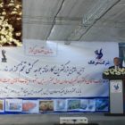 صنعت مرغداری کشور بازیچهی دست «بنیاد شهید» نظام