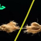 گسست بین حاکمیت و ملت نتیجه بلافصل حکومت ولایت فقیه