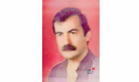 رضا قرهلو