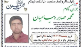 محمدصابر پیامیان