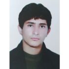 محمدامین ولی‌نیا