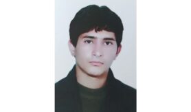 محمدامین ولینیا