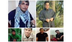 سلول انفرادی