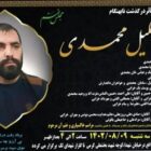 خلیل محمدی