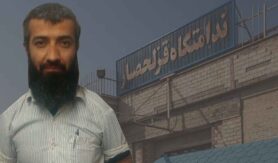 ایوب کریمی
