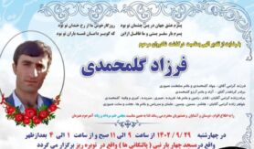 فرزاد گلمحمدی