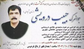 حبیب درویشی