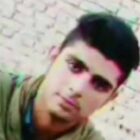 حسن گرگیج