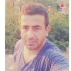 مسلم علیاری