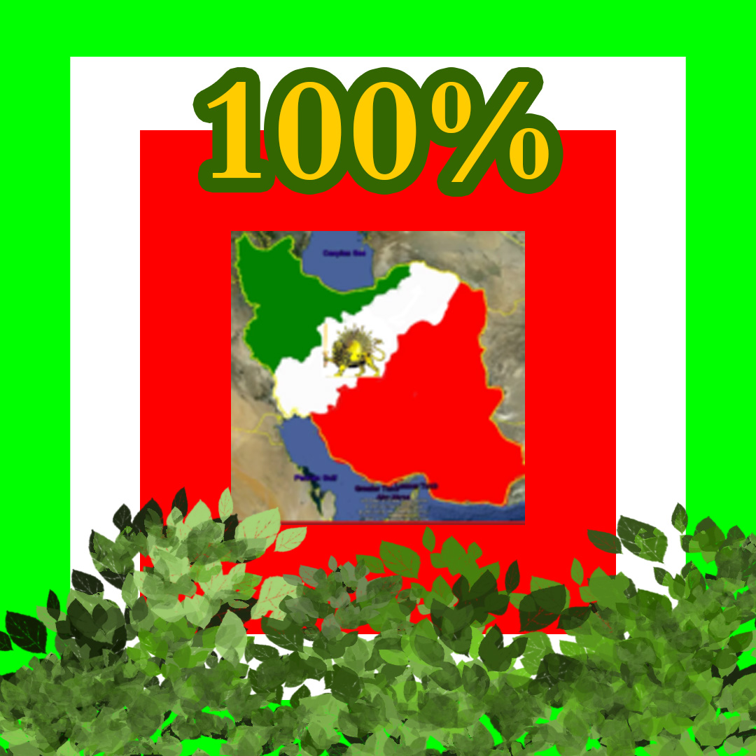 100%