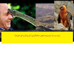 زدن سر مار