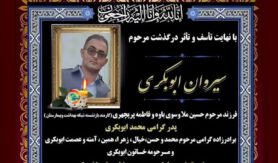 سیروان ابوبکری