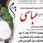 وحید عباسی