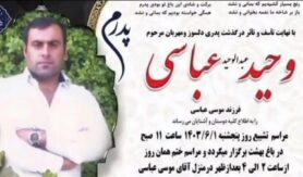 وحید عباسی