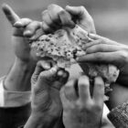 روزانه چند ایرانی سر سفره خالی جان می‌دهند؟