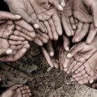 تلاش حکومت ایران برای حذف یارانه ۲۷میلیون نفر، فقیرسازی عامدانه مردم
