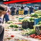 فاجعه در میدان تره‌بار تهران، بارفروشان زیر فشار هزینه‌ها، محصولاتشان را به ضرر می‌فروشند!