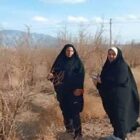 خشم کشاورزان بیارجمند از خاموشی‌ها؛ وقتی برق می‌رود، نان کشاورز هم تهدید می‌شود